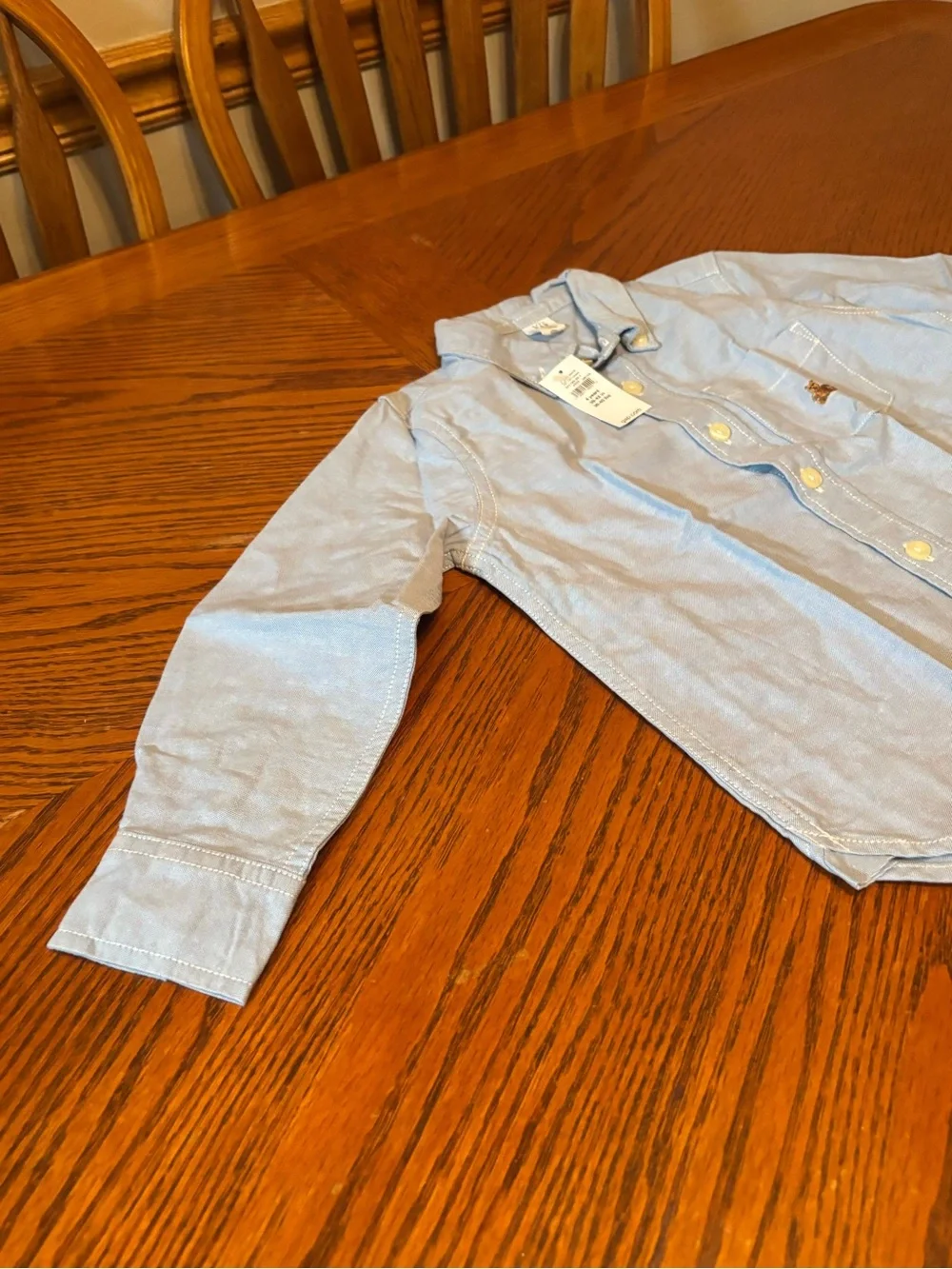 Baby Gap Toddler Boys 4 Years Light Blue Oxford Long Sleeve Button Down Shirt